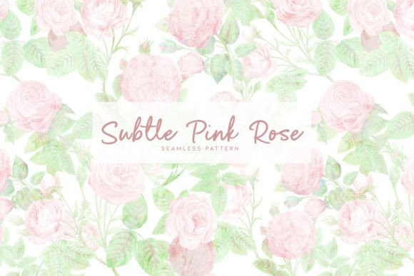 Subtle Pink Rose: A Timeless Addition to Your Creative Projects